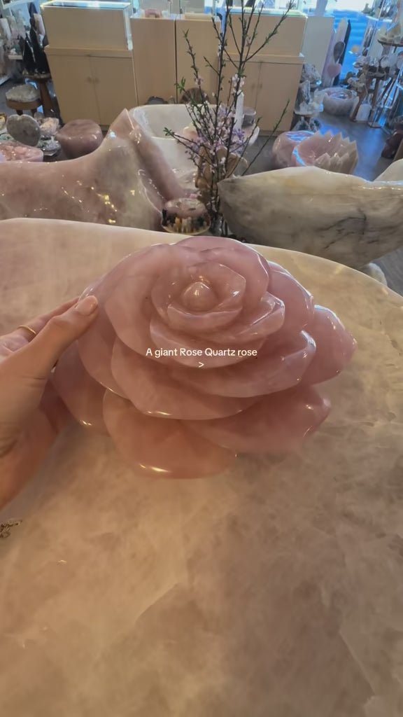 Rose Quartz Rose